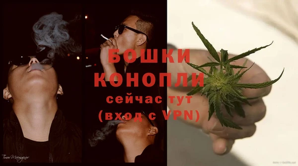 эйфоретик Баксан