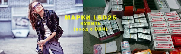 шишки Вяземский