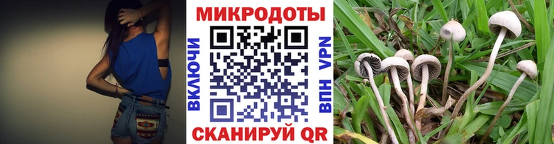 Псилоцибиновые грибы мицелий  Купить закладки  Аткарск 